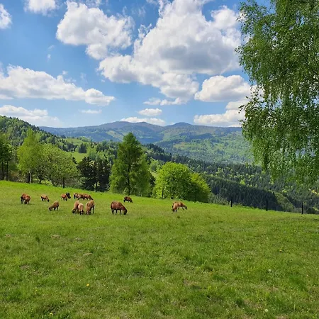 Honeyinn Maly * Kamianna