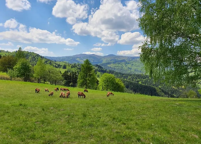 Honeyinn Maly * Kamianna